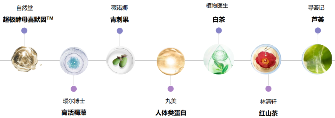 中國美容博覽會 中國美容博覽會